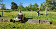 Zwei Männer arbeiten auf einer Wiese. Einer fährt mit einem Rasenmäher über die Fläche, ein anderer bedient einen Freischneider in der nähe einer Baumumzäunung.