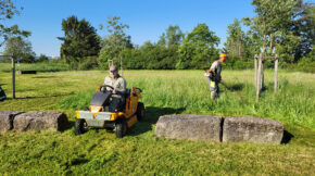 Zwei Männer arbeiten auf einer Wiese. Einer fährt mit einem Rasenmäher über die Fläche, ein anderer bedient einen Freischneider in der nähe einer Baumumzäunung.